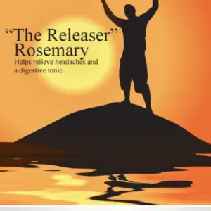 Rosemary – ‘The Releaser’