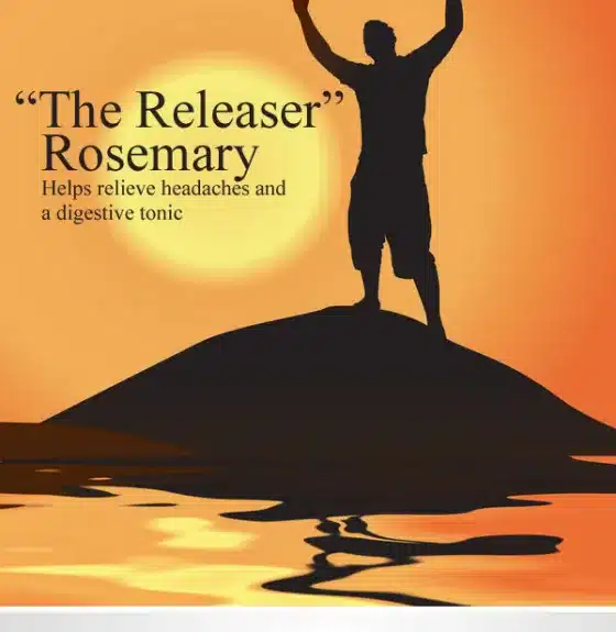 Rosemary – ‘The Releaser’