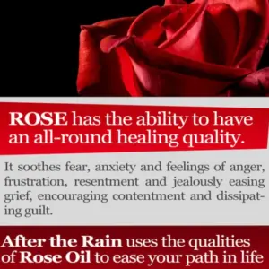 Rose – ‘After the Rain’