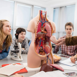 Anatomy & Physiology